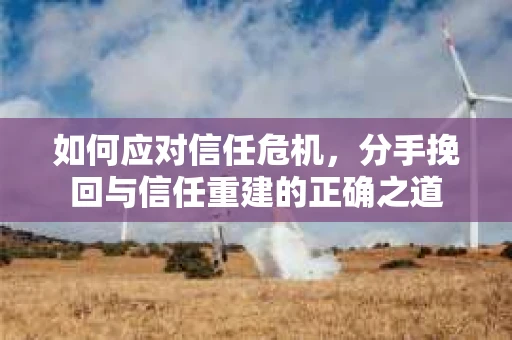 如何应对信任危机,分手挽回与信任重建的正确之道 如何应对信任危机,分手挽回与信任重建的正确之道