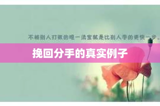 挽回分手的真实例子