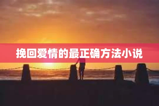 挽回爱情的最正确方法小说