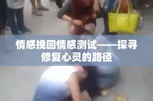 情感挽回情感测试——探寻修复心灵的路径