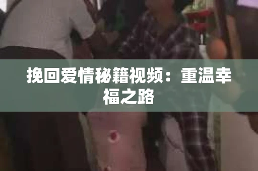 挽回爱情秘籍视频：重温幸福之路