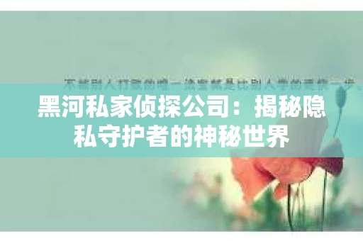黑河私家侦探公司：揭秘隐私守护者的神秘世界