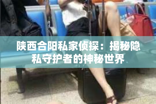 陕西合阳私家侦探：揭秘隐私守护者的神秘世界