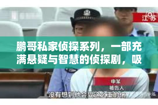 鹏哥私家侦探系列，一部充满悬疑与智慧的侦探剧，吸引了无数观众的眼球。今天，就让我带你走进这个充满神秘色彩的侦探世界，一起在线观看鹏哥私家侦探系列，感受那扣人心弦的故事情节。