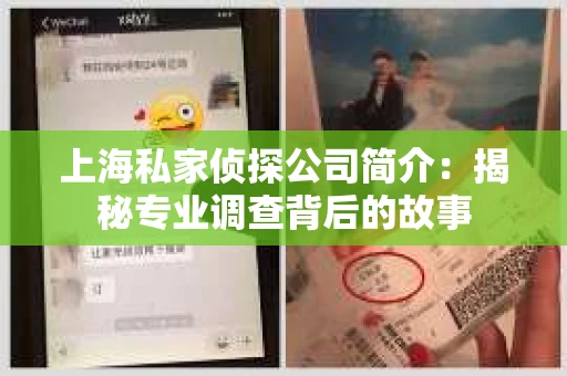 上海私家侦探公司简介：揭秘专业调查背后的故事
