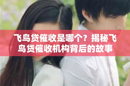 飞鸟贷催收是哪个？揭秘飞鸟贷催收机构背后的故事