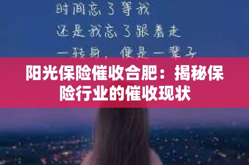 阳光保险催收合肥：揭秘保险行业的催收现状
