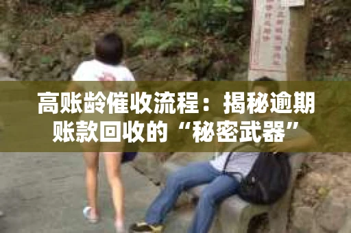 高账龄催收流程:揭秘逾期账款回收的“秘密武器” 高账龄催收流程:揭秘逾期账款回收的“秘密武器”