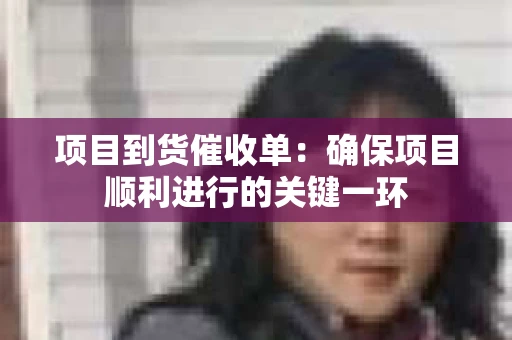 项目到货催收单:确保项目顺利进行的关键一环 项目到货催收单:确保项目顺利进行的关键一环