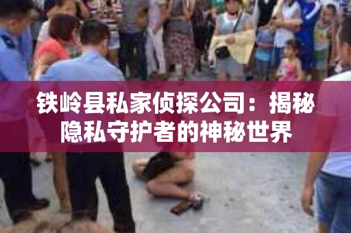 铁岭县私家侦探公司：揭秘隐私守护者的神秘世界