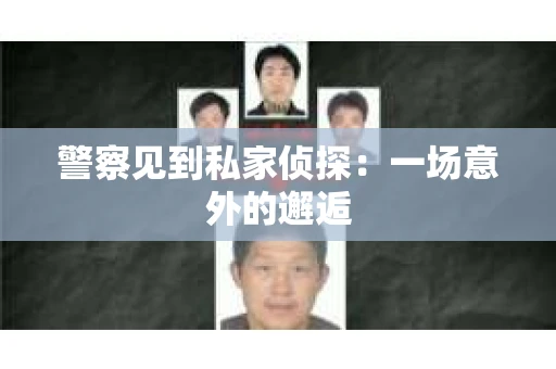 警察见到私家侦探：一场意外的邂逅