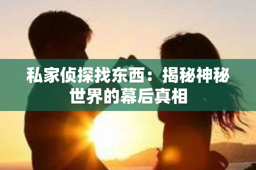 私家侦探找东西:揭秘神秘世界的幕后真相 私家侦探找东西:揭秘神秘世界的幕后真相