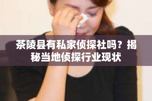 茶陵县有私家侦探社吗？揭秘当地侦探行业现状