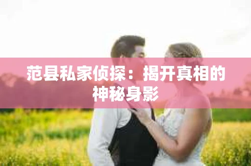范县私家侦探：揭开真相的神秘身影