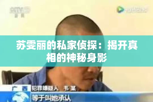 苏雯丽的私家侦探：揭开真相的神秘身影