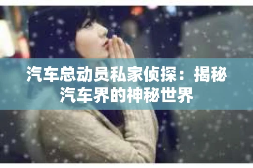 汽车总动员私家侦探：揭秘汽车界的神秘世界