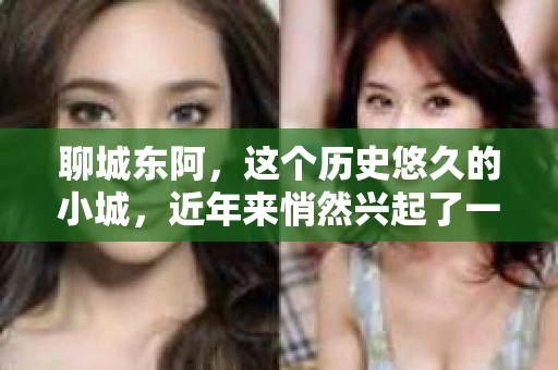 聊城东阿，这个历史悠久的小城，近年来悄然兴起了一股新的服务潮流——私家侦探。今天，我们就来聊聊这个话题，看看在聊城东阿，私家侦探是如何成为人们生活中的一部分的。