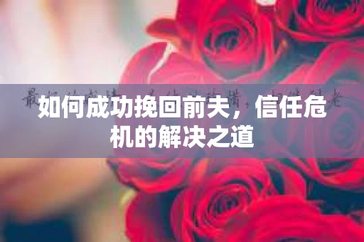 如何成功挽回前夫，信任危机的解决之道