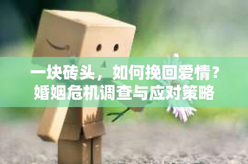 一块砖头，如何挽回爱情？婚姻危机调查与应对策略