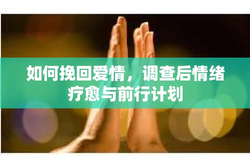 如何挽回爱情,调查后情绪疗愈与前行计划 如何挽回爱情,调查后情绪疗愈与前行计划