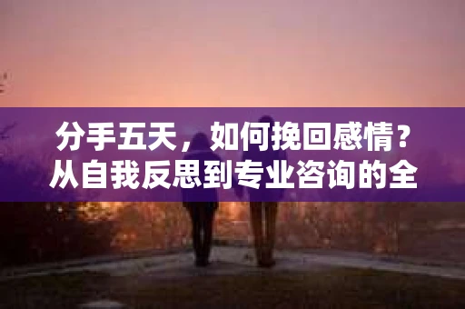 分手五天，如何挽回感情？从自我反思到专业咨询的全面解决方案