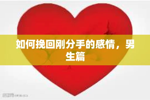 如何挽回刚分手的感情,男生篇 如何挽回刚分手的感情,男生篇