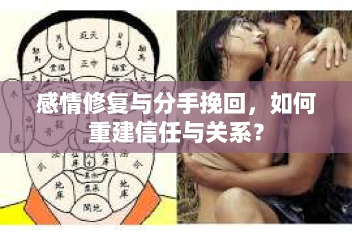 感情修复与分手挽回，如何重建信任与关系？