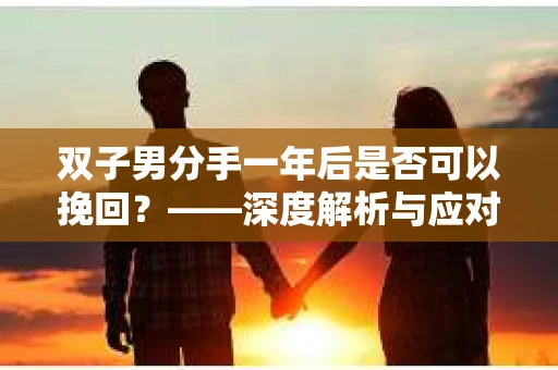 双子男分手一年后是否可以挽回？——深度解析与应对策略