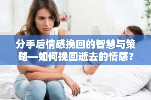 分手后情感挽回的智慧与策略—如何挽回逝去的情感？