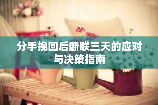 分手挽回后断联三天的应对与决策指南